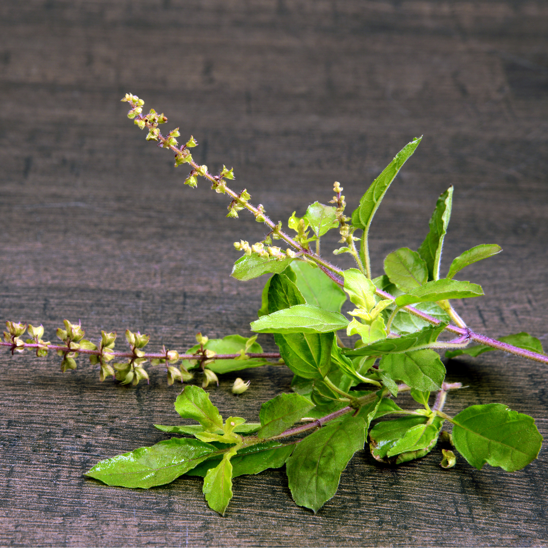 Green leaves and branches on a wooden surface